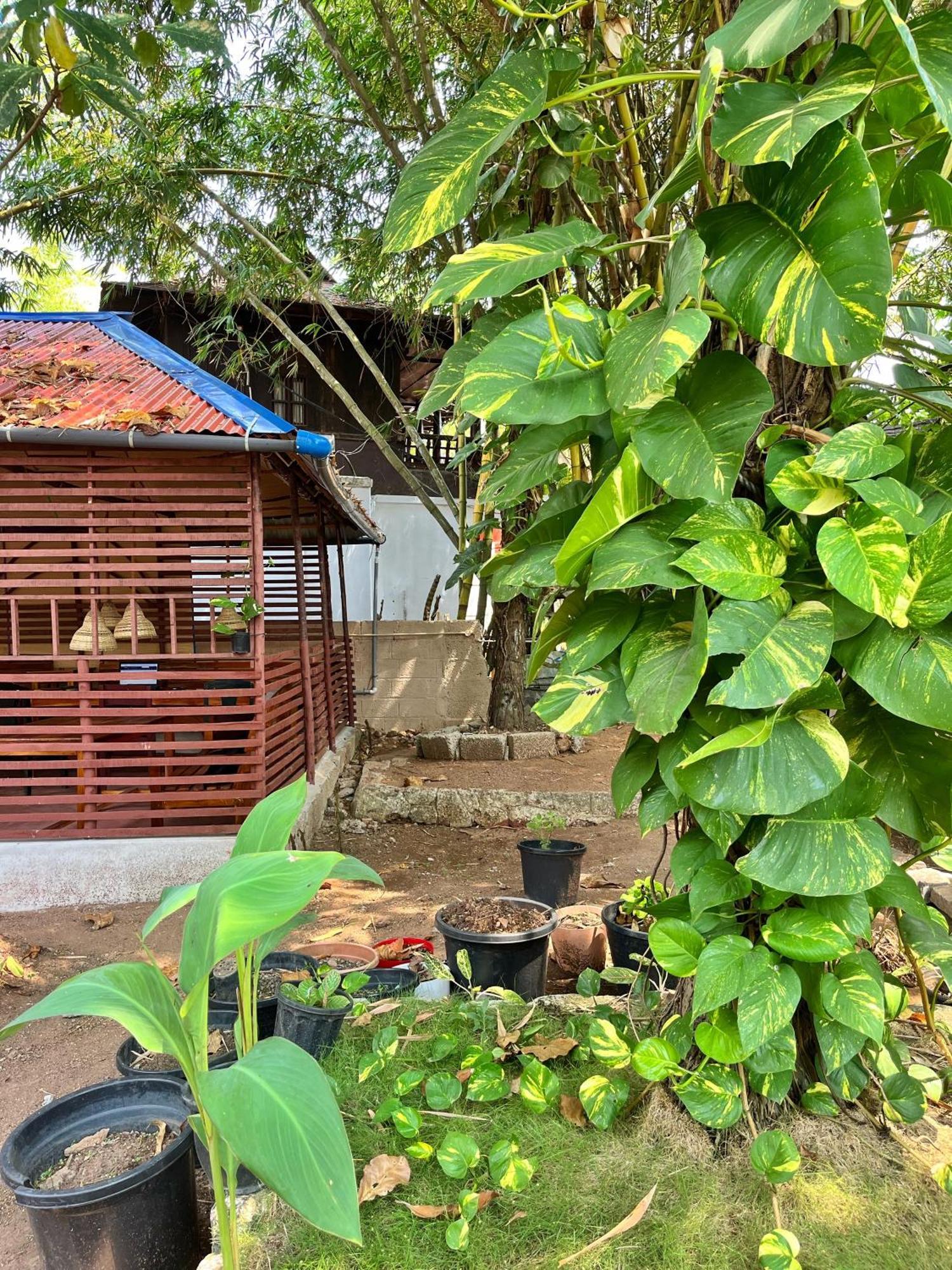 Bava Beach Resort & Retreat Center Varkala Buitenkant foto