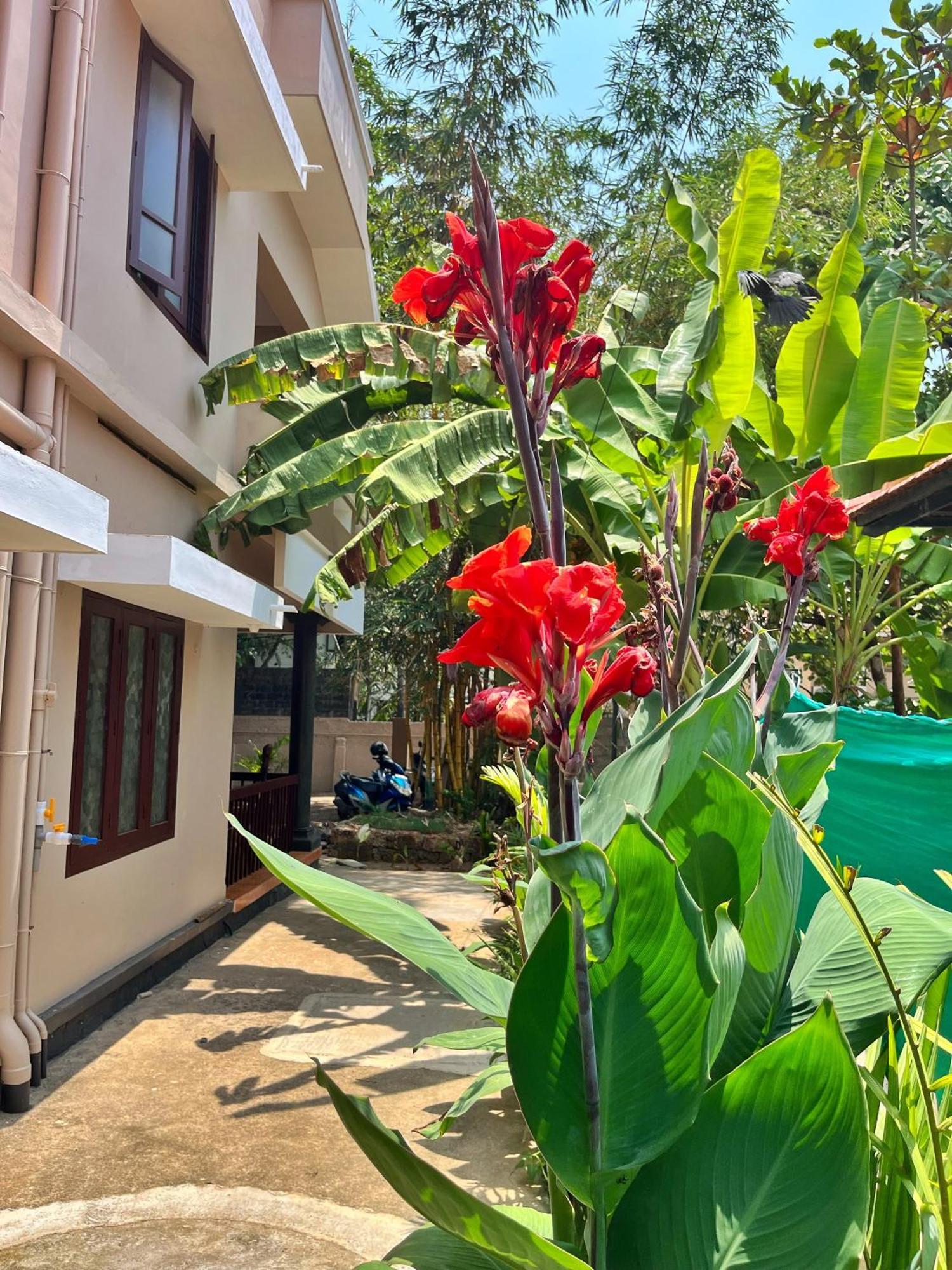 Bava Beach Resort & Retreat Center Varkala Buitenkant foto